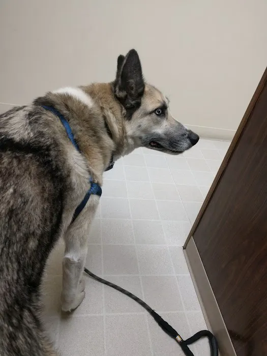 Nelson Road Veterinary Clinic 6