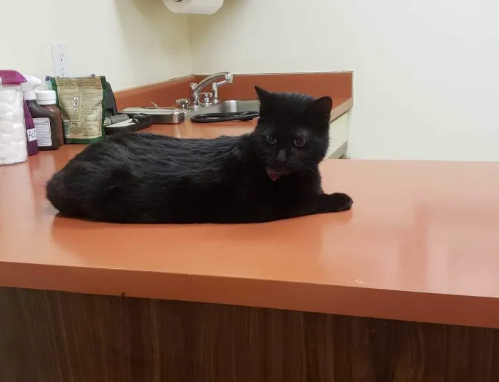 Nelson Road Veterinary Clinic 3