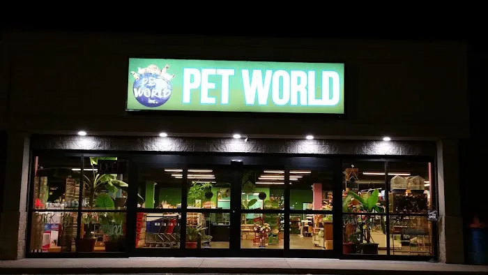 Pet World Experience 12