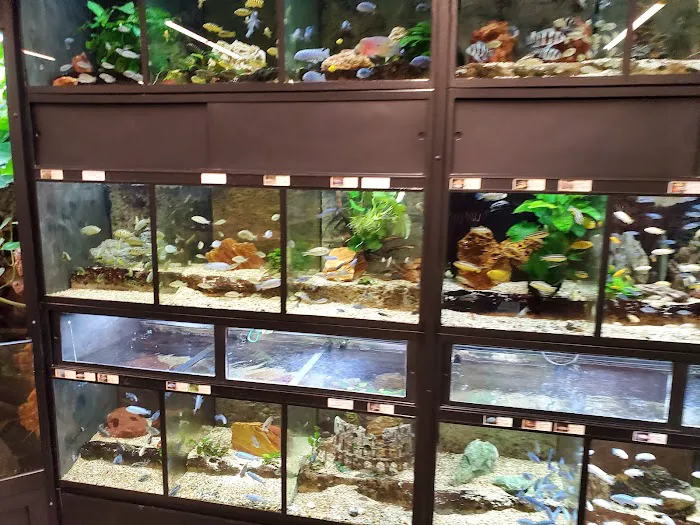 Pet World Experience 12