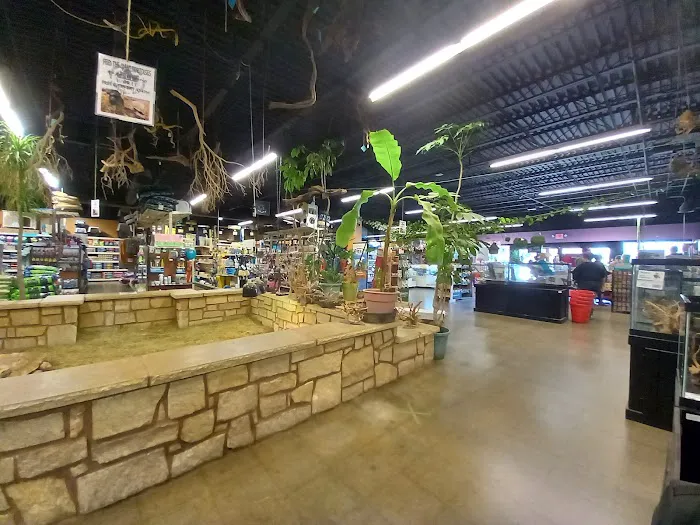 Pet World Experience 12