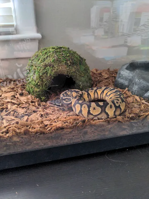 Pet World Experience 12