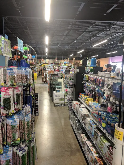 Pet World Experience 12