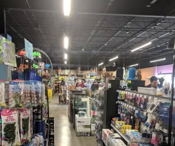 Pet World Experience