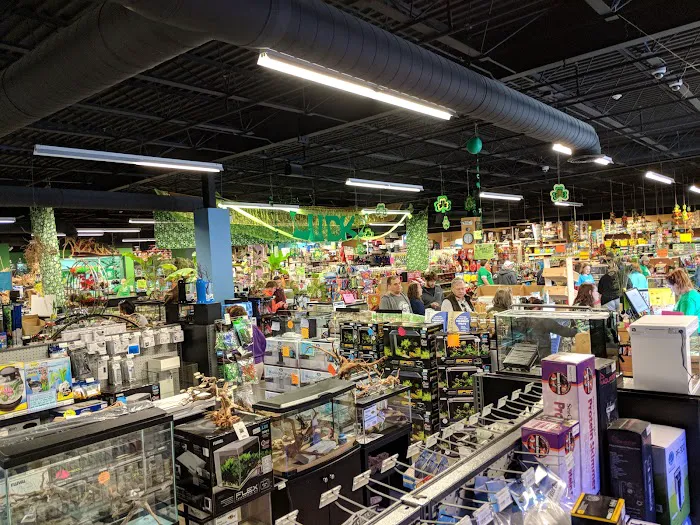 Pet World Experience 12