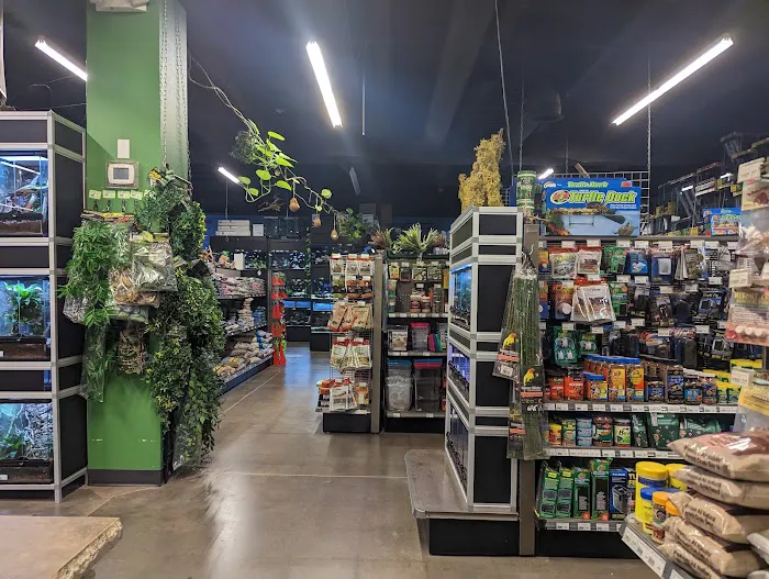 Pet World Experience 12