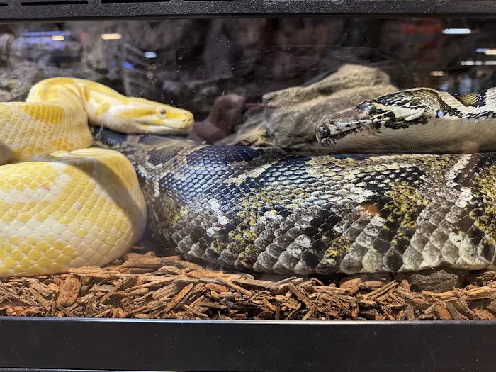 Pet World Experience 12