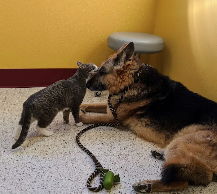Pella Corner Animal Clinic 4