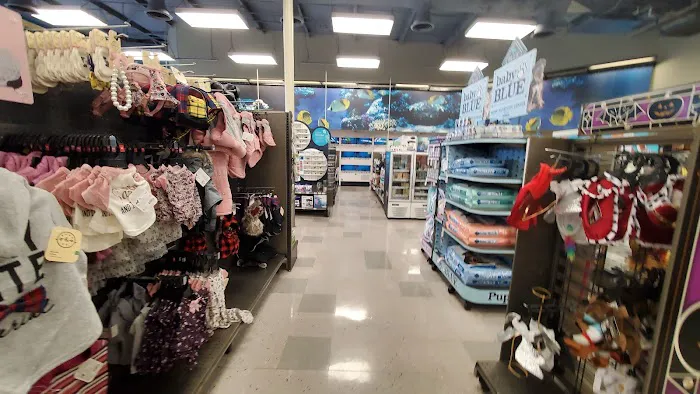 Petco 12