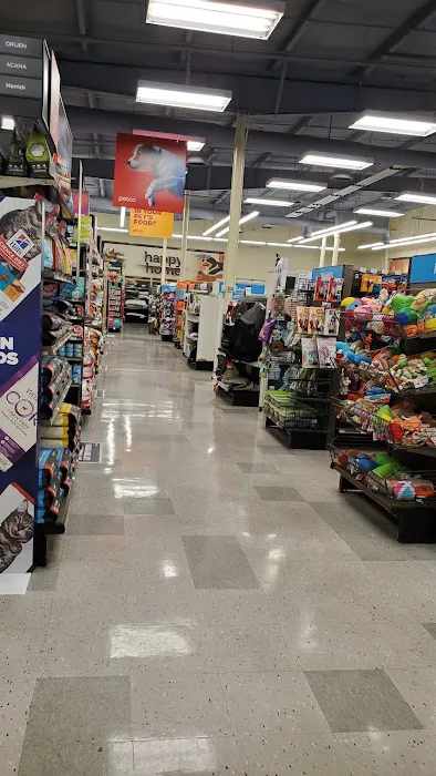 Petco 12