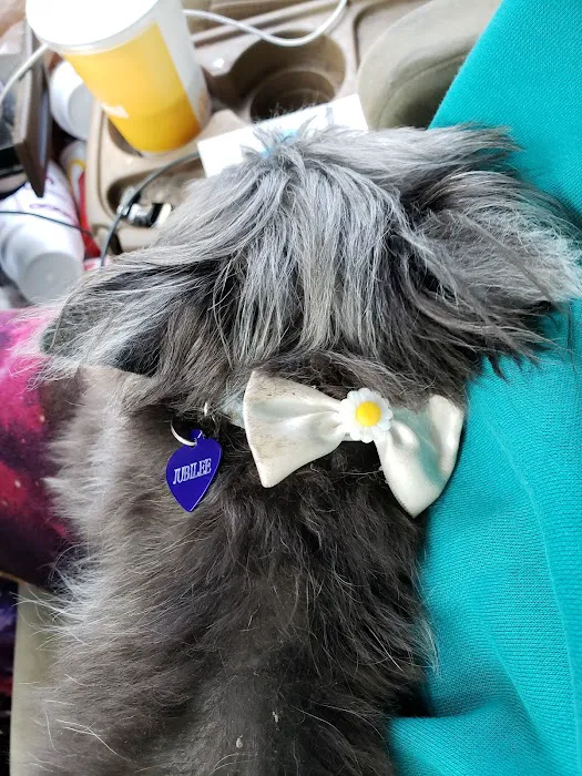 Petco 12