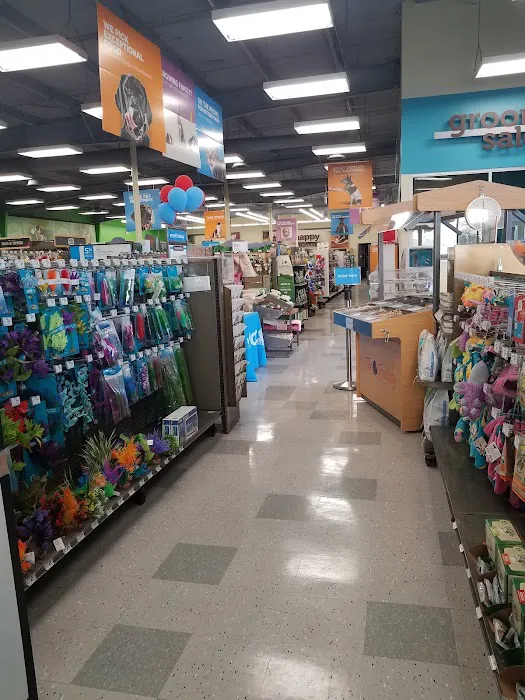 Petco 12