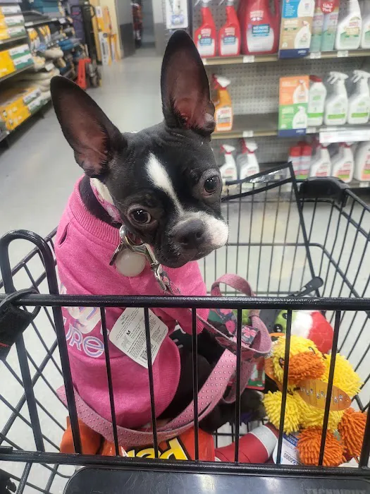 Petco 12