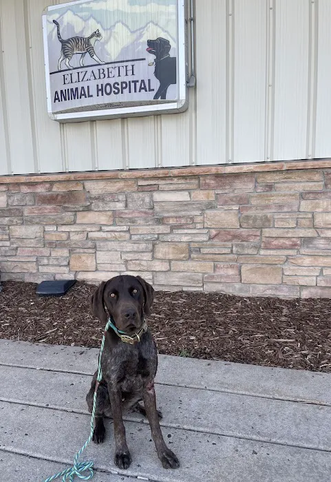 Elizabeth Animal Hospital 9