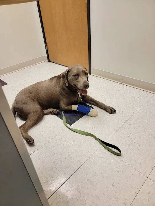 Elizabeth Animal Hospital 4