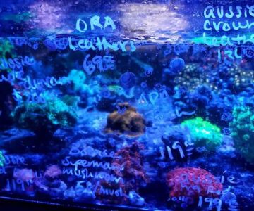 Ultimate Aquarium Inc
