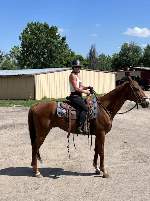 Cherry Creek Equine 12