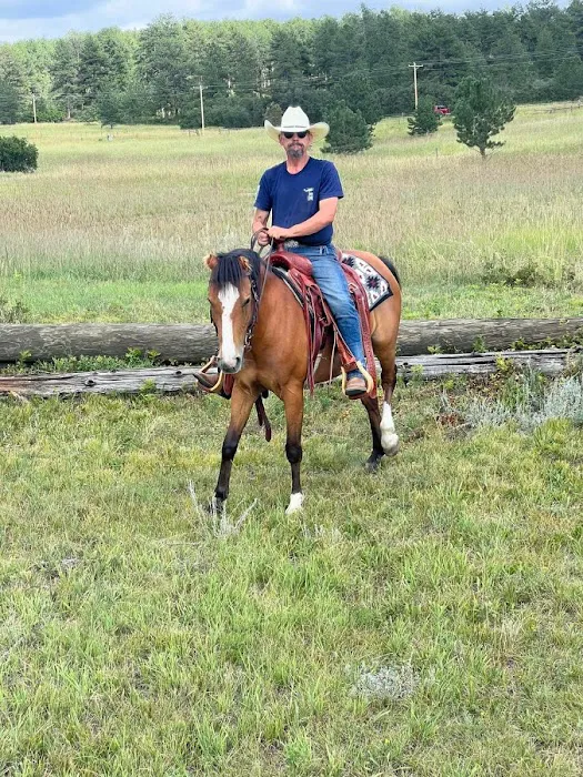 Cherry Creek Equine 12