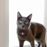 Fox Run Veterinary Hospital ico