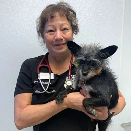 Tri-Lakes Animal Emergency Care 12
