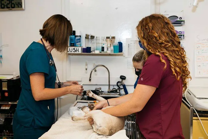 Tri-Lakes Animal Emergency Care 12
