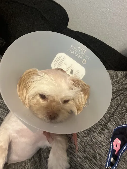 Rocky Mountain Spay + Neuter 2