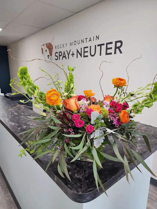 Rocky Mountain Spay + Neuter 3