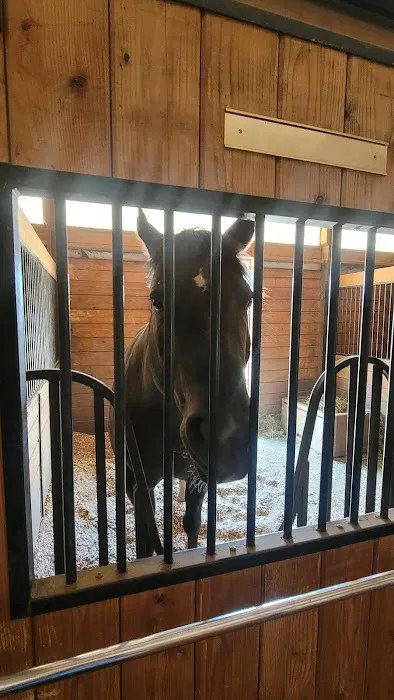 Aspen Ridge Equine Hospital, PC 1