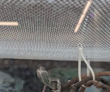 Petco