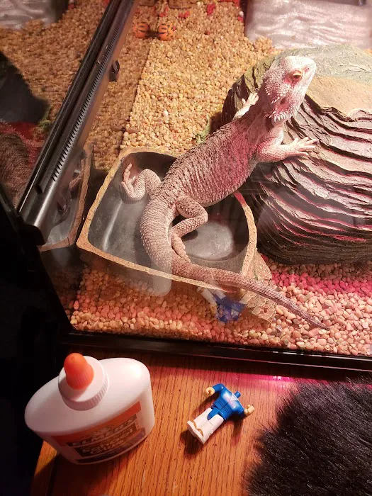 Roller Coaster Veterinary Clinic 9