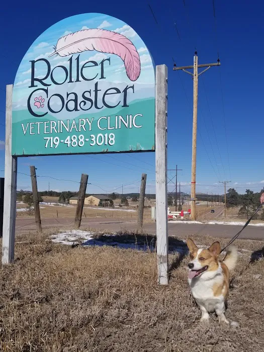 Roller Coaster Veterinary Clinic 2