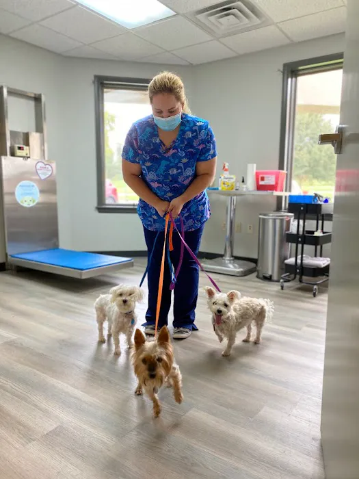 Pine Creek Animal Hospital 12