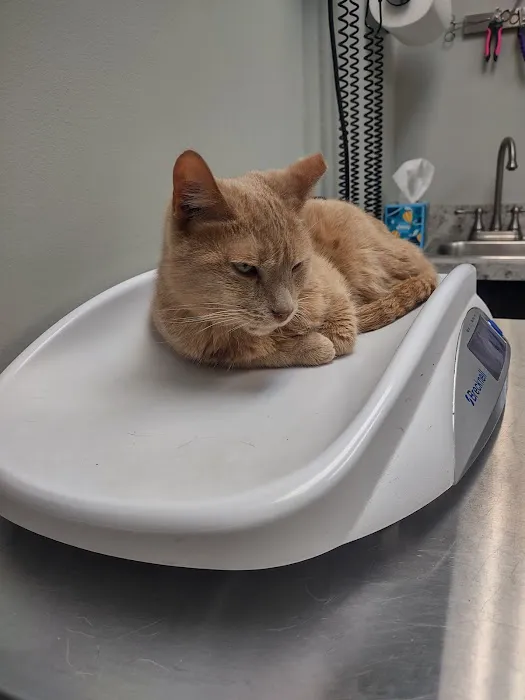 Pine Creek Animal Hospital 12