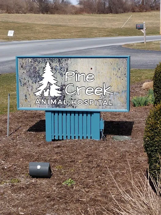 Pine Creek Animal Hospital 12