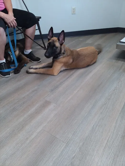 Pine Creek Animal Hospital 12