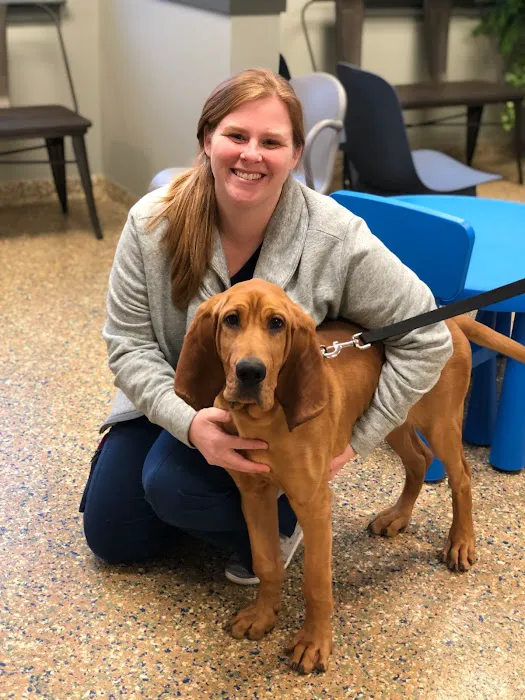 Pine Creek Animal Hospital 12