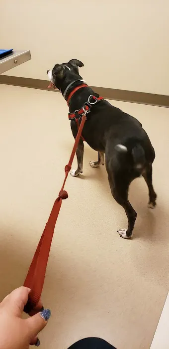 New Holland Veterinary Hospital LLC 12