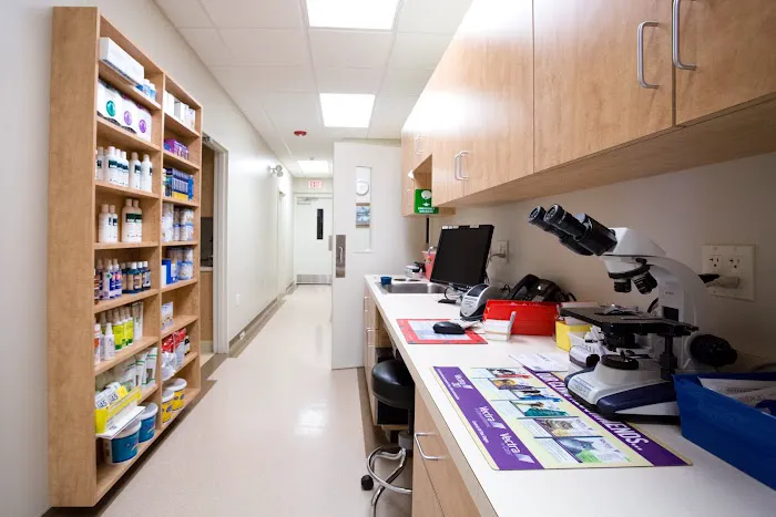 New Holland Veterinary Hospital LLC 12