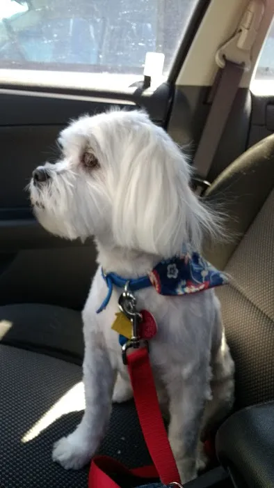 New Holland Veterinary Hospital LLC 12