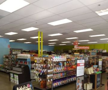 Unleashed by Petco