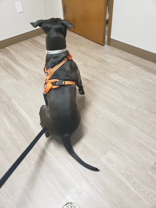 Red Lion Veterinary Hospital 12
