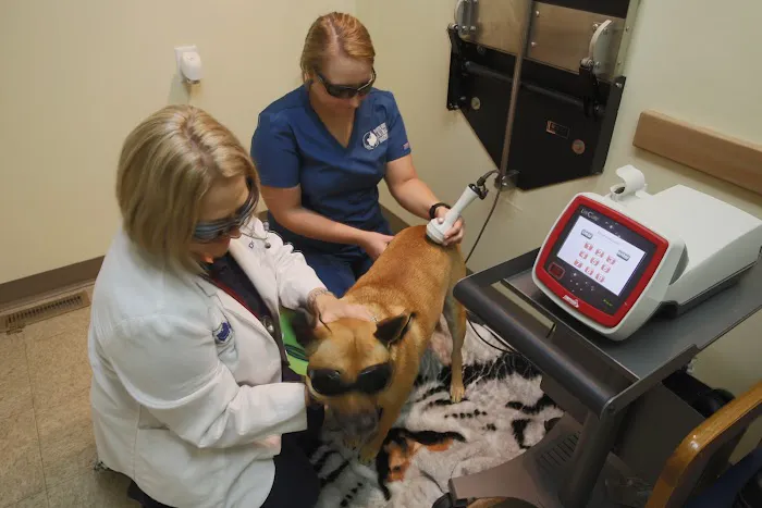 North East Animal Hospital 12