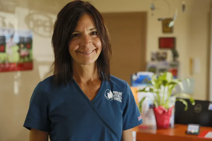North East Animal Hospital: Dr. Jennifer Howell 12