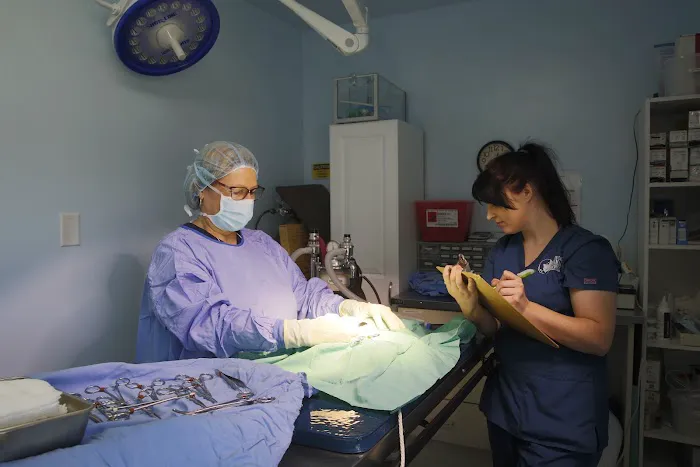North East Animal Hospital: Dr. Jennifer Howell 12