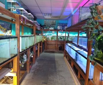 Infinite Aquarium