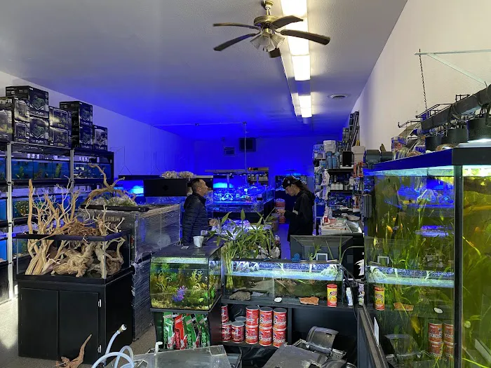Clear Water Aquarium 3