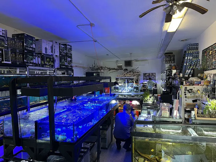 Clear Water Aquarium 6