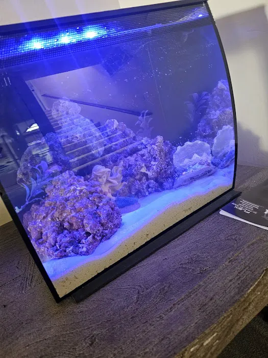 Clear Water Aquarium 4