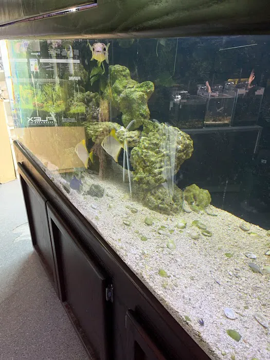 Clear Water Aquarium 1
