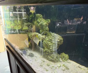 Clear Water Aquarium